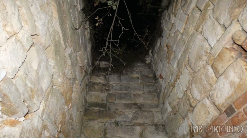 Металлургия древности. Часть I. Доменная печь в Истье