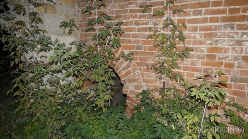 Металлургия древности. Часть I. Доменная печь в Истье