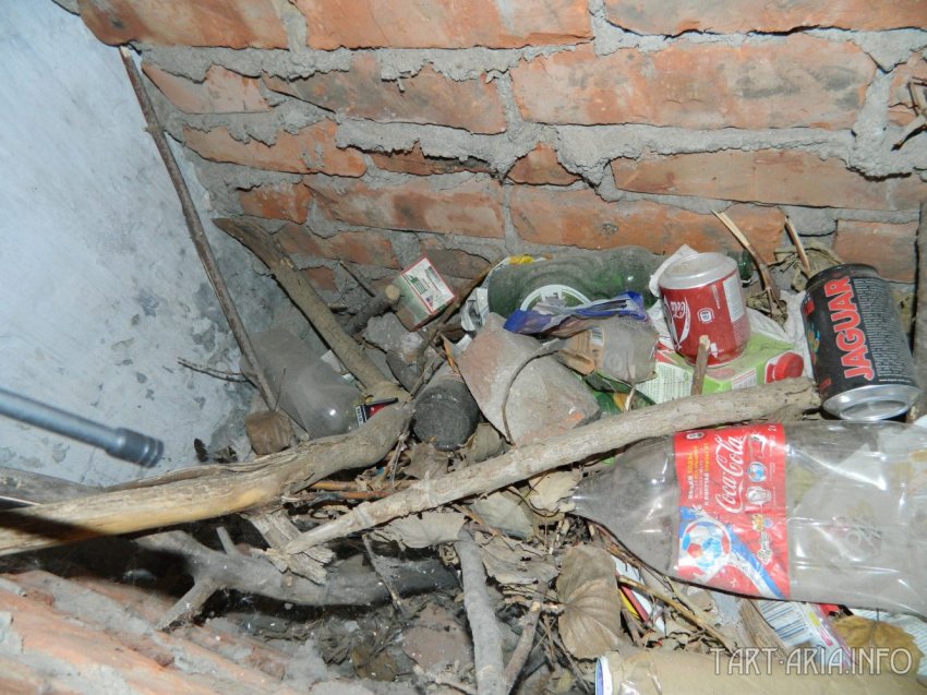 Металлургия древности. Часть I. Доменная печь в Истье