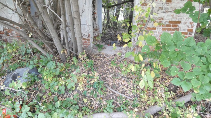 Металлургия древности. Часть I. Доменная печь в Истье