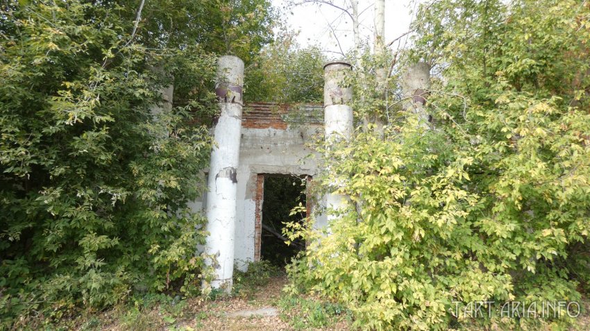 Металлургия древности. Часть I. Доменная печь в Истье