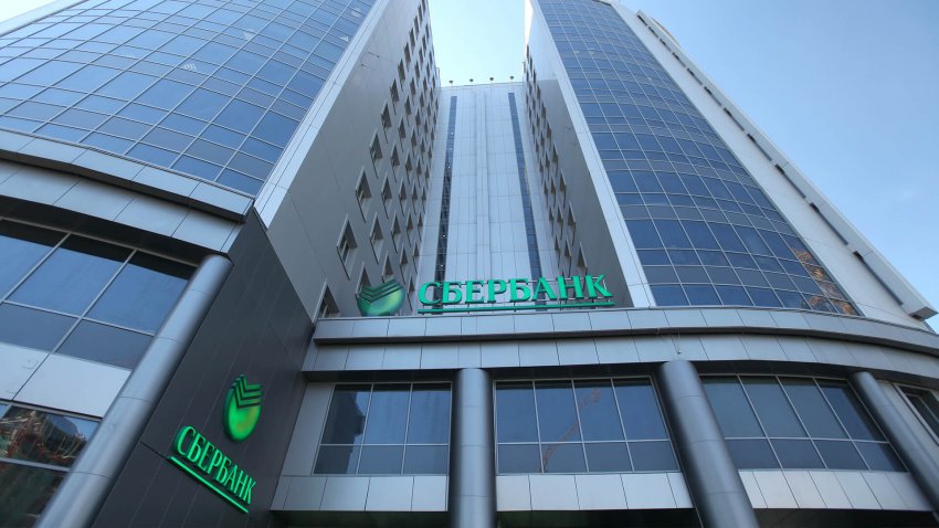 Какой праздник отмечают 12 ноября 2019 года: профессиональные, экологические и социальные мероприятия дня