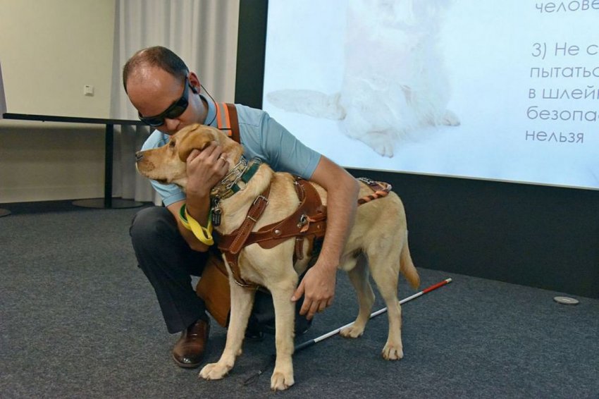 Международный день слепых 13 ноября: обучение слепых и современные методы, помогающие незрячим