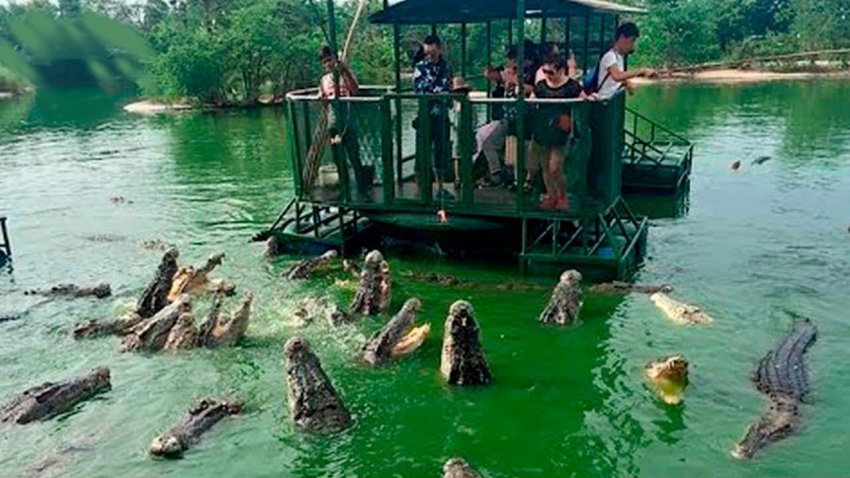 Запретный плод, или тайные места, куда нет доступа туристам