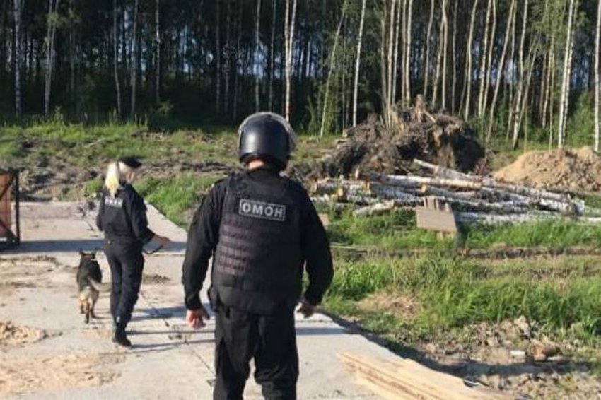 Есть ли пострадавшие в наше время от боеприпасов ВОВ: находки времен войны уносят жизни россиян