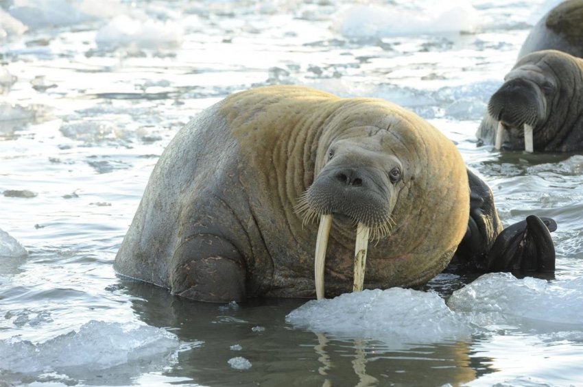 Какой праздник 24 ноября 2019 года отмечается среди всех жителей России