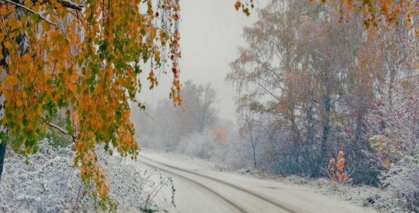 Федор Студит отмечают православные верующие 24 ноября 2019 года