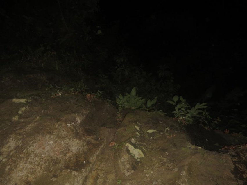 Расследование гибели Крис Кремерс и Лисанн Фрон в панамских джунглях