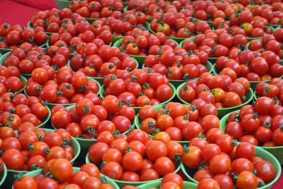 Названы продукты, которые полезно есть ежедневно для защиты от рака Названы продукты, которые полезно есть ежедневно для защиты от рака