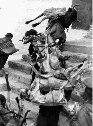 Фотоотчёт знаменитой тибетской экспедиции СС