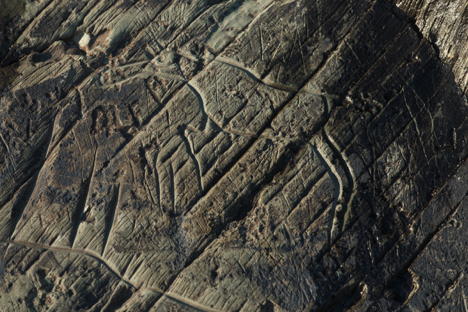 Сквозь века и пространства: наскальное искусство России