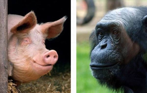 ТОП-7 теорий заговора и их мировые последствия