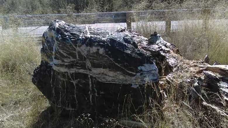 Тайна исчезновения и возвращения «Волшебной скалы» Тайна исчезновения и возвращения «Волшебной скалы»