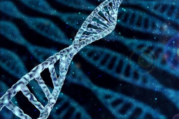 Ученые открыли новое аутовоспалительное заболевание