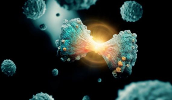 Ученые научились прогнозировать превращение здоровых клеток в раковые