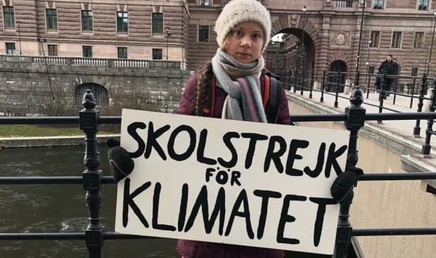 Механизмы манипуляции Греты Тунберг сознанием экоактивистов