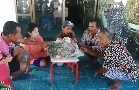 В Таиланде уборщик пляжа нашел ценную рвоту кашалота