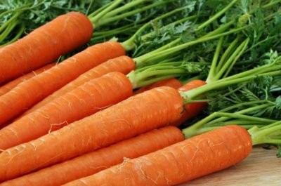 Врач назвал 5 самых полезных для здоровья суставов продуктов