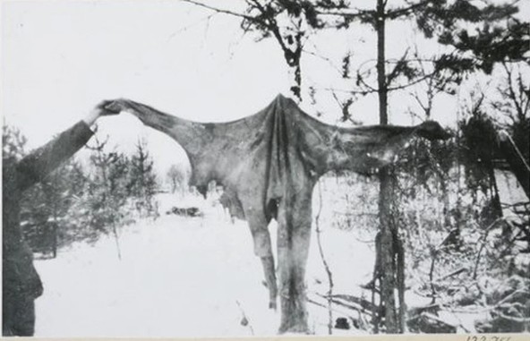 Культура европейских наций построена на костях 18+