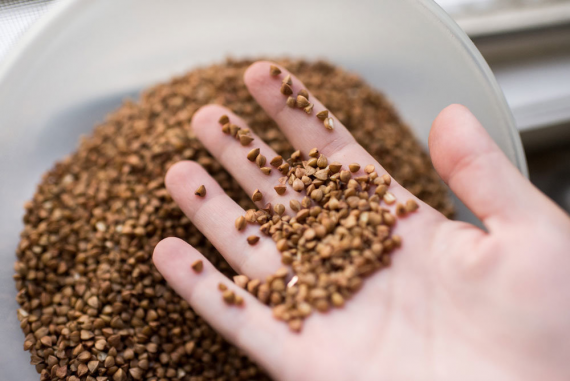 Названы 5 бюджетных продуктов для похудения