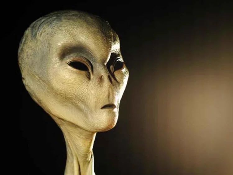 Внеземная жизнь - фантастика или реальность?