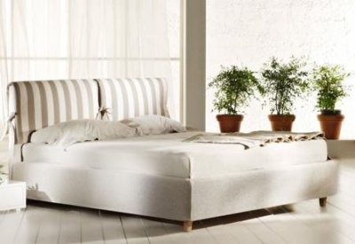 Эксперты назвали 5 комнатных растений, которые полезны для сна