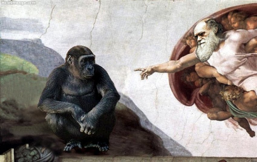 Смысл жизни: Новая гипотеза происхождения человечества