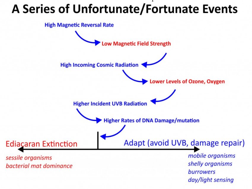 Переворот магнитных полюсов и катастрофические последствия для жизни