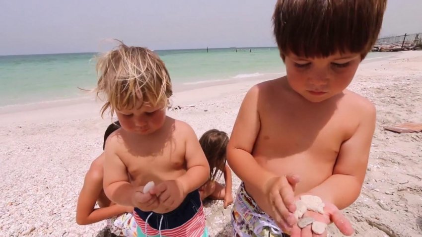 Актуальные диалоги из цикла «Уроки Ибн Сины»