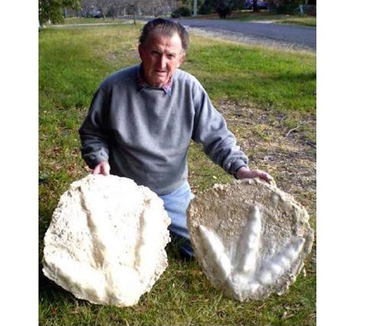 Огромные древние страусы Моа живут и сегодня