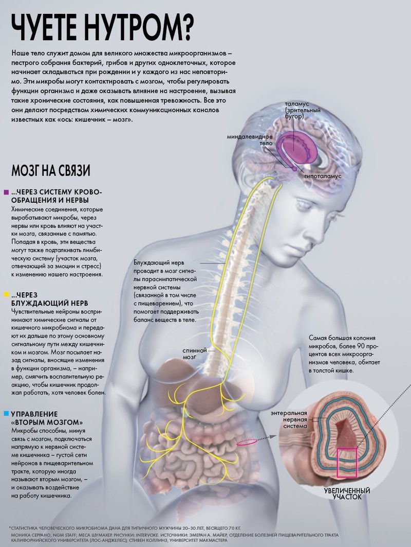 Квинтиллионы микробов в человеке определяют нашу сущность