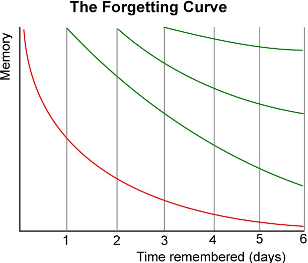 Память - не видеоплёнка. Ложные воспоминания и как они образуются