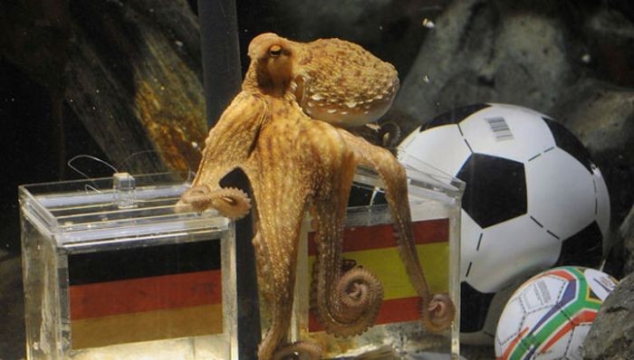 Пророчества как способ управления судьбой цивилизации