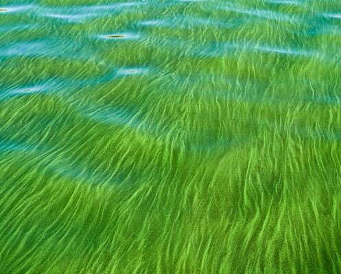 ТОП-10 нестандартных источников альтернативной энергии