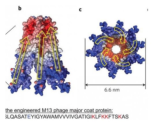 ТОП-10 нестандартных источников альтернативной энергии