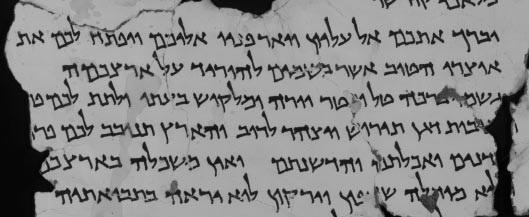 Бедуинские артефакты кумранских пещер