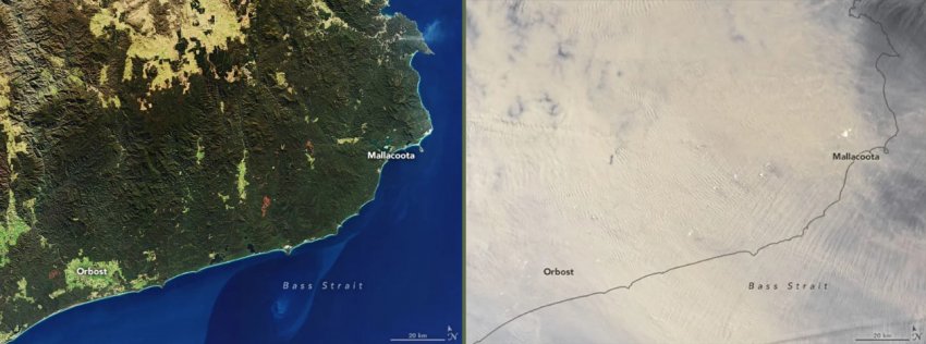 Пожары в Австралии запечатлели из космоса: масштабы катастрофы поражают