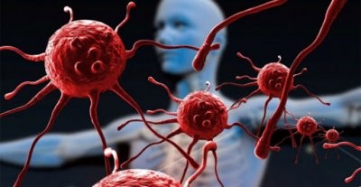 Зарубежные медики выяснили, почему ВИЧ становится устойчивым к лекарствам Зарубежные медики выяснили, почему ВИЧ становится устойчивым к лекарствам