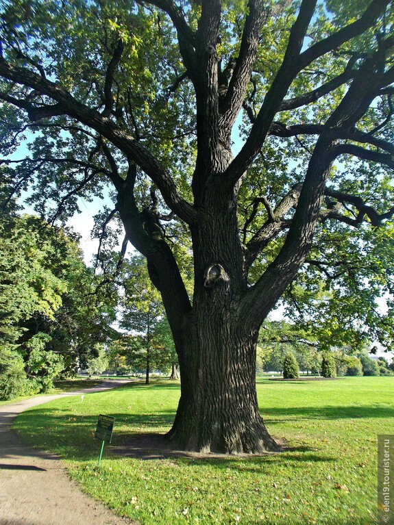 Когда утонул Пра-Питер. Часть 1.