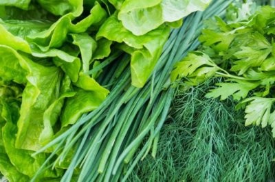 Врач-диетолог рассказала, кому противопоказана зелень