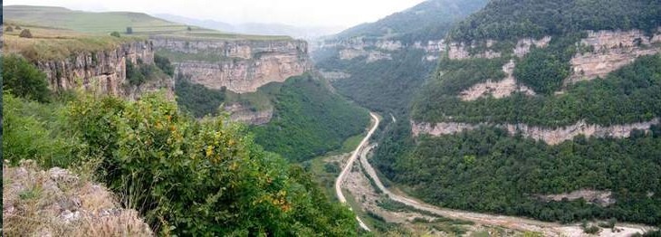 Журналист и краевед рассказал о гигантских пауках-людоедах