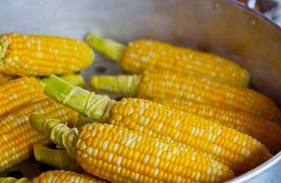 Зарубежные медики назвали продукты, которые нельзя есть тем, кто носит брекеты