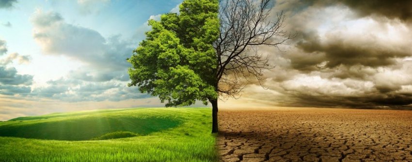 Есть ли жизнь без чёрного золота?