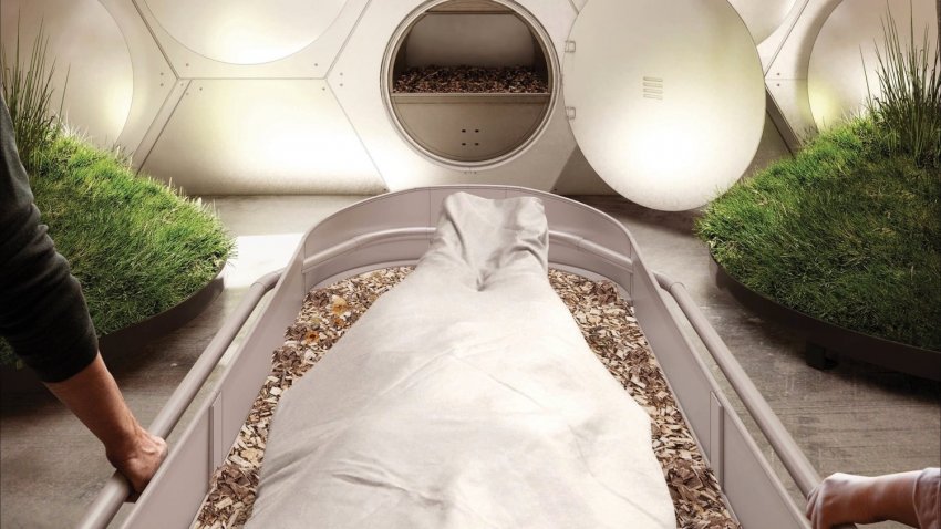 Ради спасения планеты ученые предлагают делать из усопших компост