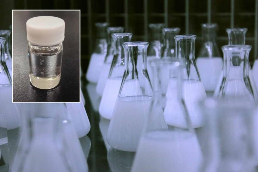 «Токсичная Леди» заразила 23 человека в больнице и что показало вскрытие