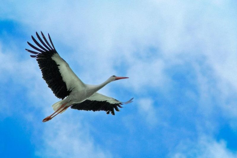 Константиновы круги 19 марта 2020 года: приметы и поверья расскажут, когда пора приступать к полевым работам