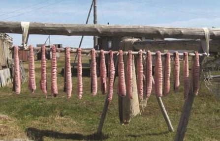 Индигирка - сердце якутской тундры и русские первооткрыватели