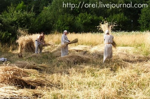 Славянские корни Германии Славянские корни Германии