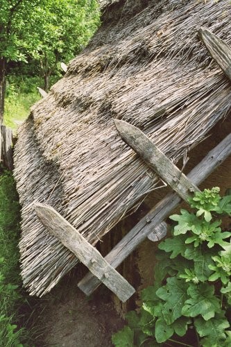 Славянские корни Германии Славянские корни Германии