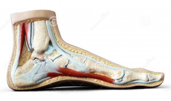 Атланты. Версия.